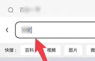 夸克浏览器怎么搜索_夸克浏览器搜索的方法