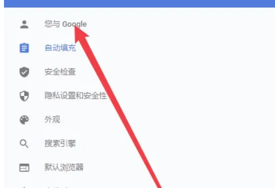 谷歌浏览器怎么设置付款方式_谷歌浏览器设置付款方式的方法