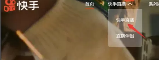 快手电脑版怎么看直播回放_快手电脑版看直播回放的方法