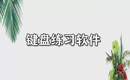 键盘练习软件大全-键盘练习软件哪个好
