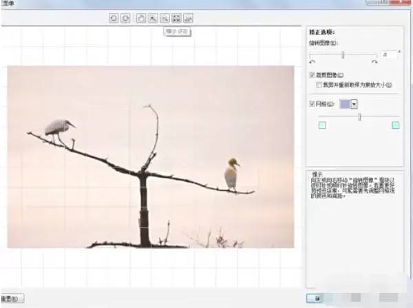 coreldraw怎么矫正图片_coreldraw矫正图片的方法
