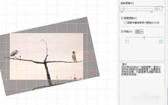 coreldraw怎么矫正图片_coreldraw矫正图片的方法
