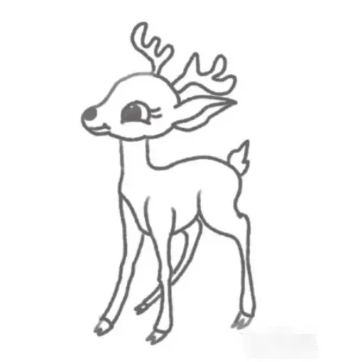 sketchbook怎么画梅花鹿?_sketchbook画梅花鹿的方法
