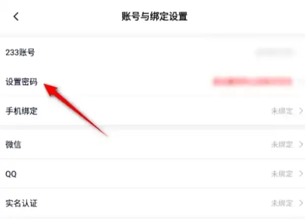 233乐园怎么设置密码?_233乐园设置密码的方法