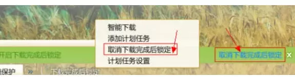 迅雷7怎么使用计划任务_迅雷7使用计划任务的方法