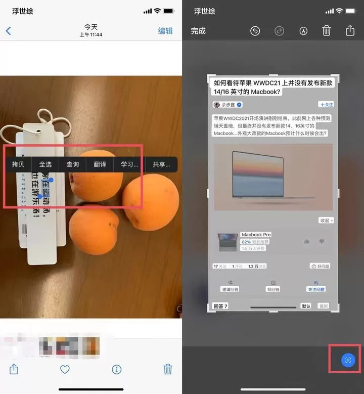 苹果iOS 15正式版更新了什么?苹果iOS 15正式版更新内容介绍