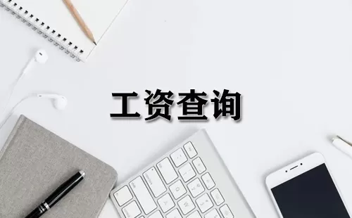 工资查询大全-工资查询哪个好