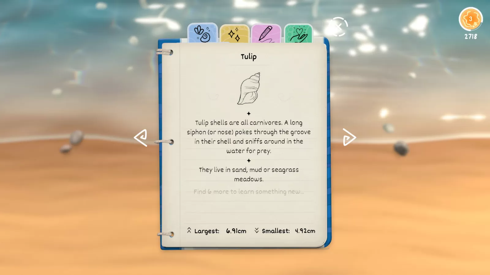 休闲游戏《Seashell》上架Steam 3月28日发售支持简中