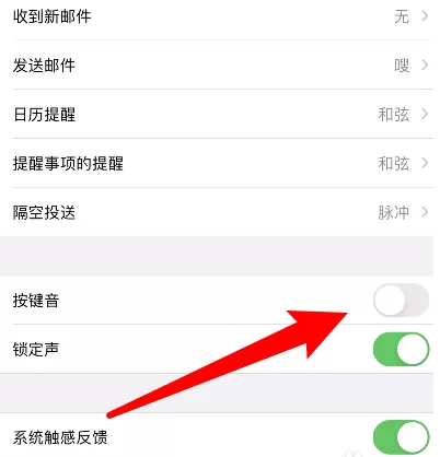 苹果12去哪设置打字声音 苹果12启用打字按键声方法介绍
