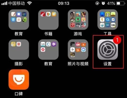 iPhone11pro max查看内存情况的操作流程