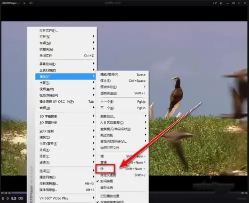 KMPlayer怎么使用?KMPlayer如何加快播放速度?