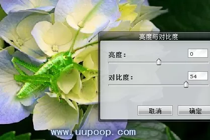 Photoshop CS3是什么?Photoshop CS3怎么拼图?