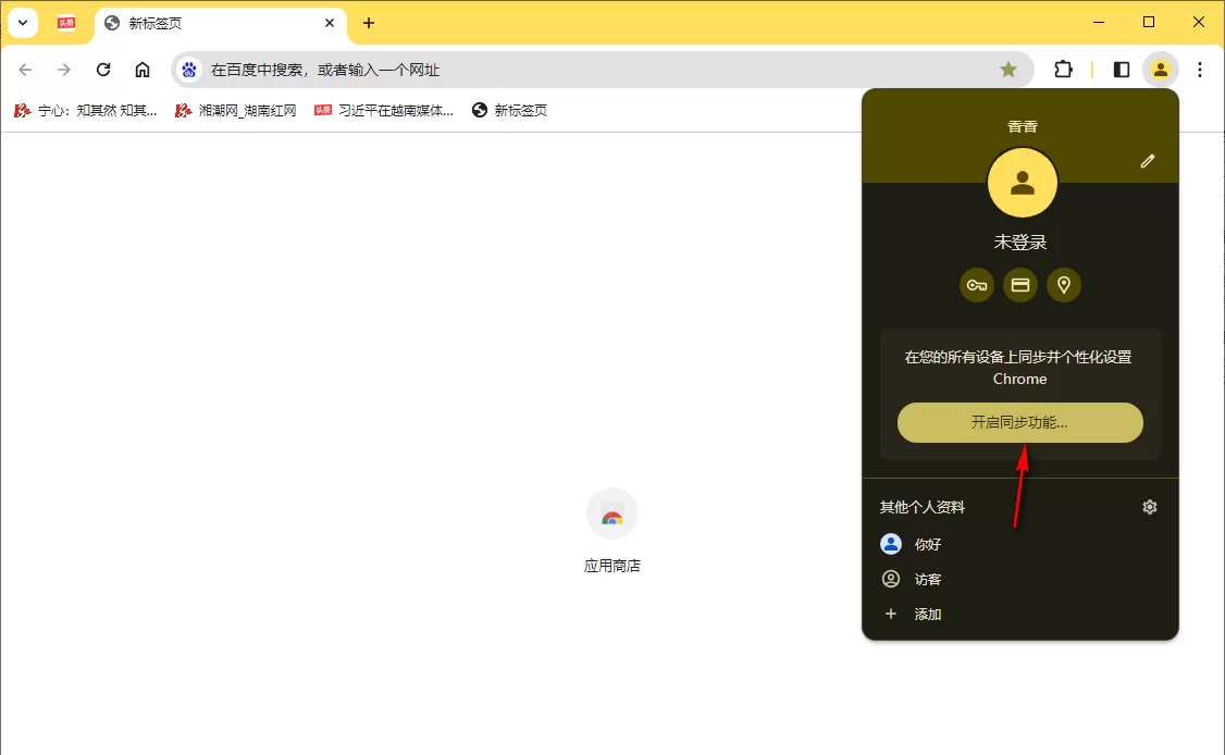 谷歌浏览器是什么?谷歌浏览器怎么同步书签?