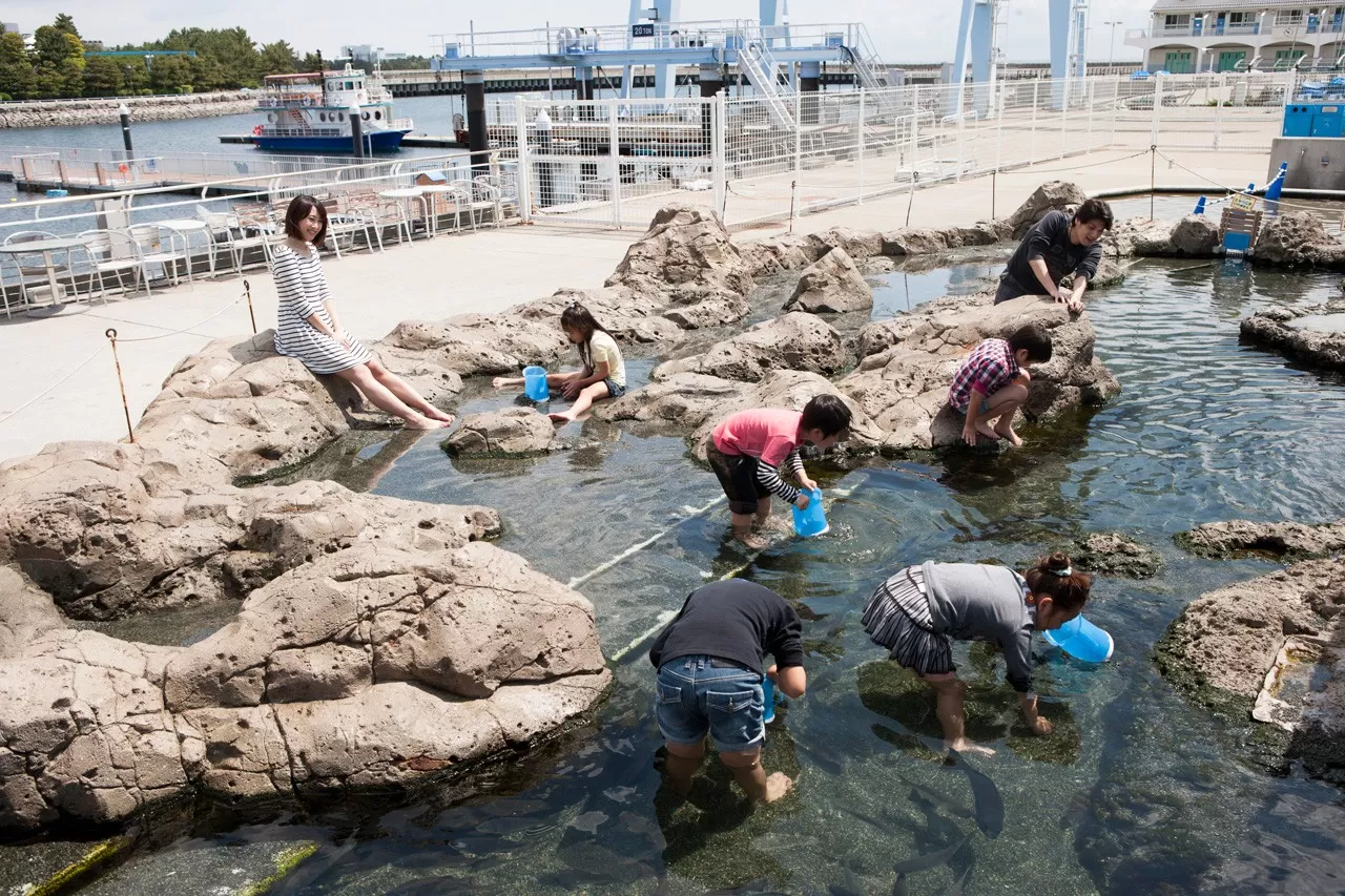 《集合啦!动物森友会》联动横滨八景岛海洋乐园举办限时“海洋生物交流展”