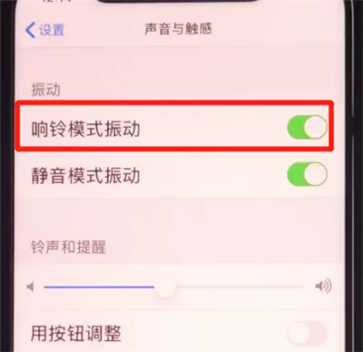iphone11关闭响铃振动的方法步骤
