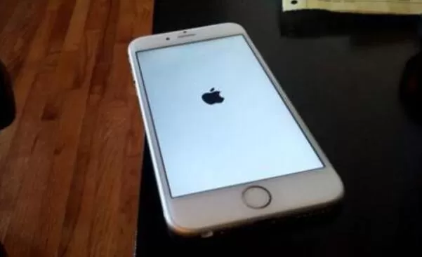 iphone手机出现白苹果无法开机的解决方法