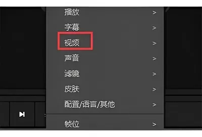 PotPlayer怎么旋转图像?PotPlayer旋转图像的方法