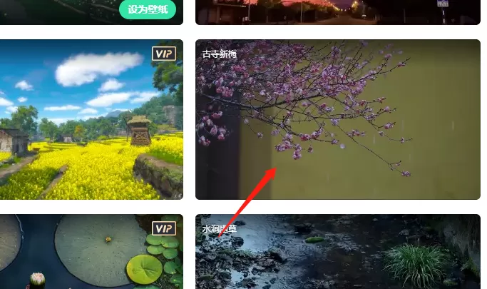 飞火动态壁纸怎么下载到本地?飞火动态壁纸下载到本地的方法