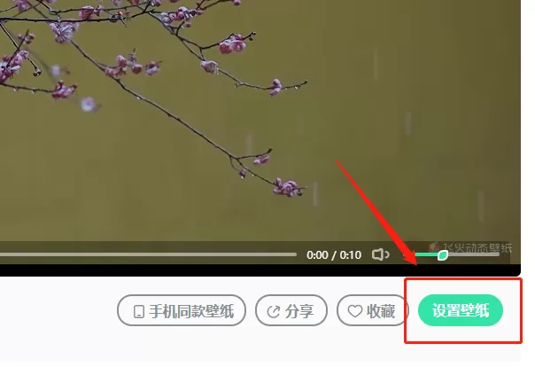 飞火动态壁纸怎么下载到本地?飞火动态壁纸下载到本地的方法