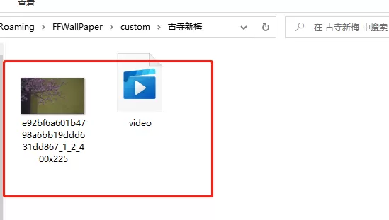 飞火动态壁纸怎么下载到本地?飞火动态壁纸下载到本地的方法