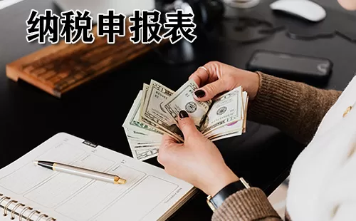 纳税申报表大全-纳税申报表哪个好