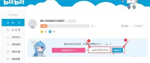 b站邀请码怎么用?b站邀请码的使用方法