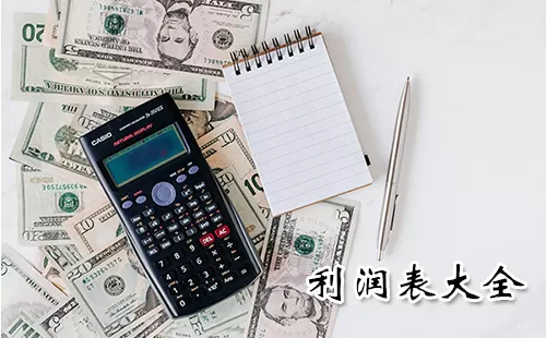 利润表大全-利润表哪个好