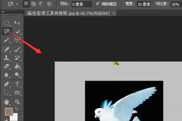ps套索工具怎么用?ps套索工具的使用方法