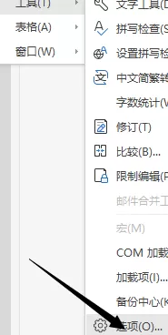 WPS怎样设置取消首字母大写?WPS设置取消首字母大写的方法