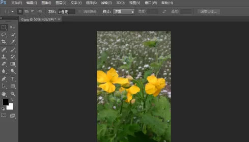 photoshop cs6怎么翻转照片素材?photoshop cs6翻转照片素材的方法