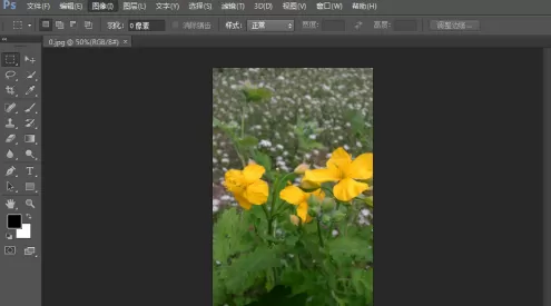 photoshop cs6怎么翻转照片素材?photoshop cs6翻转照片素材的方法
