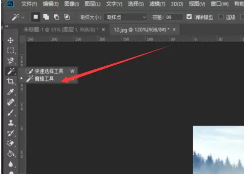 photoshop cc 2018如何使用魔棒工具?photoshop cc 2018使用魔棒工具的方法