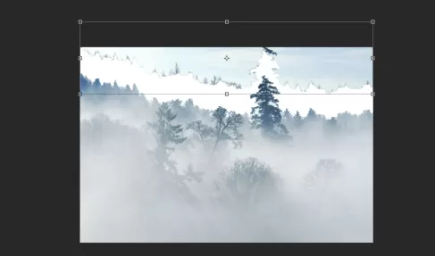 photoshop cc 2018如何使用魔棒工具?photoshop cc 2018使用魔棒工具的方法