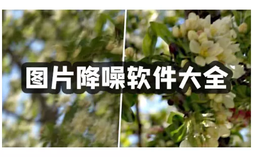 图片降噪软件大全-图片降噪软件哪个好