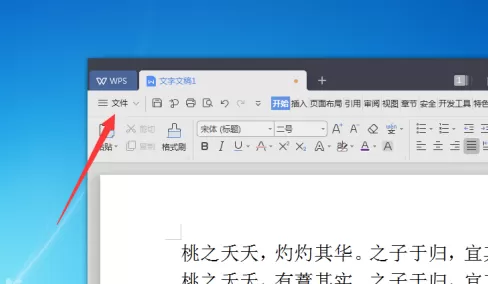 WPS2019文字怎样页面设置?WPS2019文字页面设置的方法