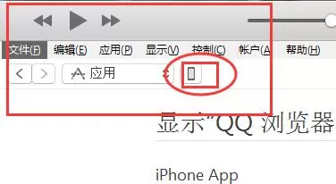 苹果版熊猫看书导入txt的操作流程