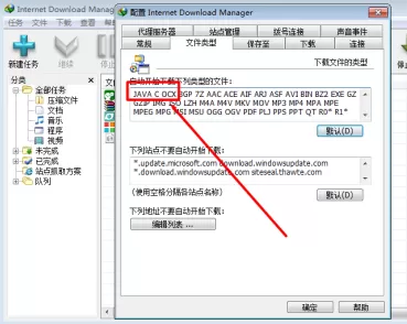 IDM下载器怎么支持自动下载文件类型?IDM下载器支持自动下载文件类型的方法