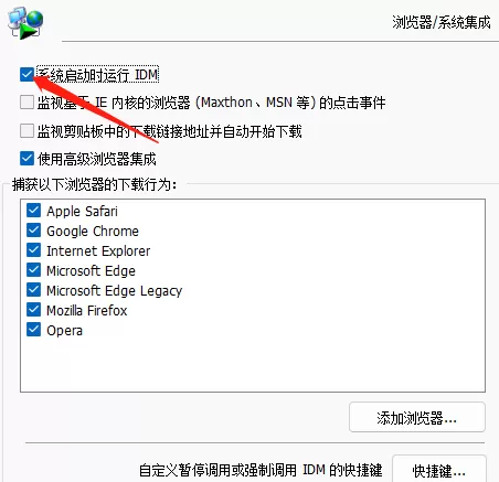 IDM下载器如何开启开机自启动?IDM下载器开启开机自启动的方法