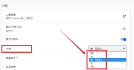 谷歌浏览器怎样更改字号?谷歌浏览器更改字号的方法