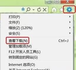 IE9 浏览器怎么更改下载默认储存位置?IE9 浏览器更改下载默认储存位置的方法