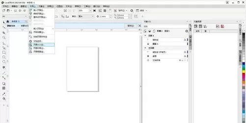 CorelDraw 2019如何页面大小应用到当前页?CorelDraw 2019页面大小应用到当前页的方法