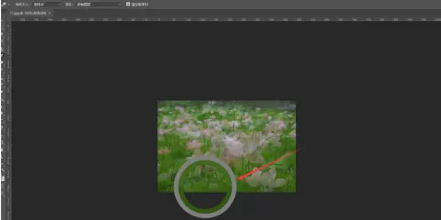 photoshop cc 2018怎样使用吸管工具?photoshop cc 2018使用吸管工具的方法