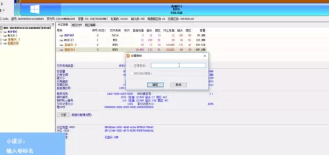 DiskGenius中文版怎样设置卷标?DiskGenius中文版设置卷标的方法