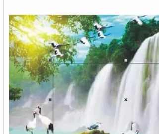 CorelDraw2020如何剪切图片?CorelDraw2020剪切图片的方法