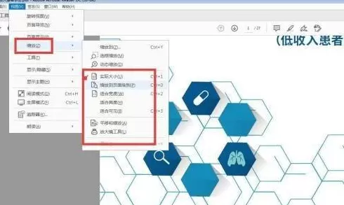 Adobe Acrobat Reader DC如何设置重排?Adobe Acrobat Reader DC设置重排的方法
