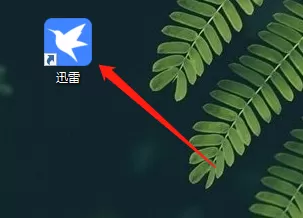 迅雷11如何诊断下载网络信息？迅雷11诊断下载网络信息的操作方法