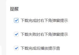 迅雷11如何设置下载失败时弹窗提示?迅雷11设置下载失败时弹窗提示的方法