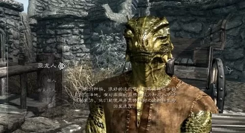 上古卷轴5:天际种族怎么选择?上古卷轴5:天际种族选择推荐