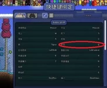 泰拉瑞亚抓钩怎么用?泰拉瑞亚抓钩的使用方法