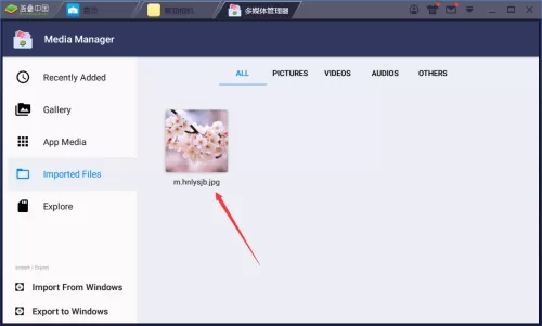 BlueStacks如何导入电脑图片?BlueStacks导入电脑图片的方法